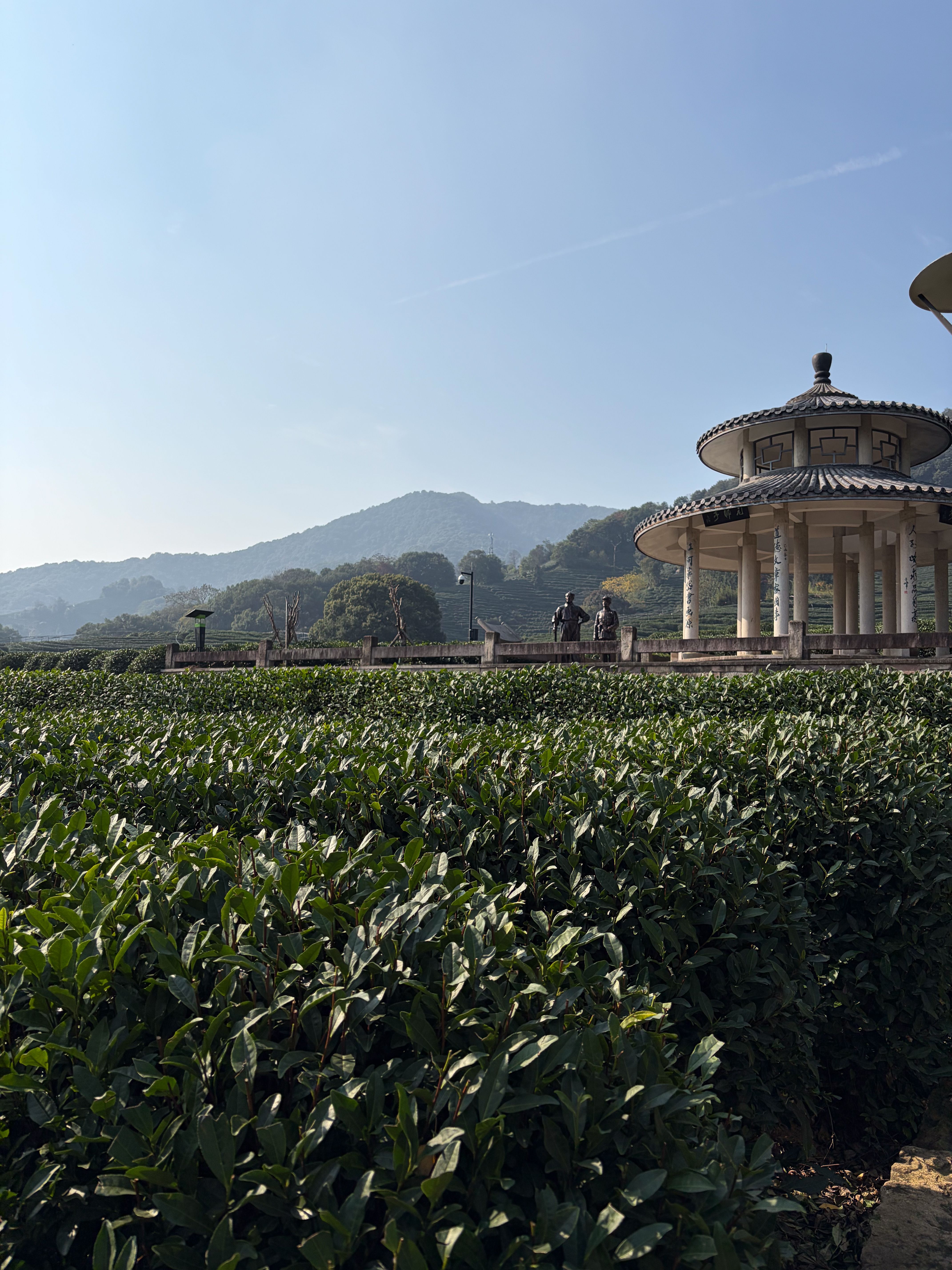 Hangzhou Tea Garden