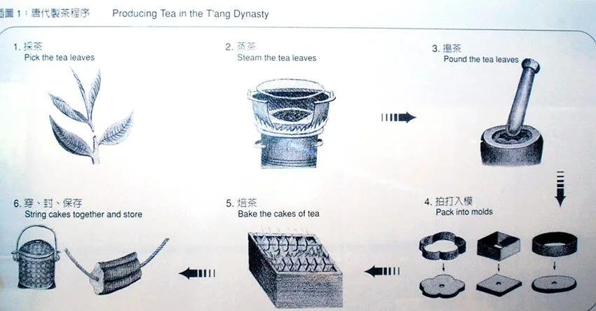 History and Terroir